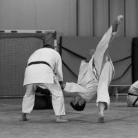Jubiläums-Lehrgang in Waiblingen mit Junya Nakatsugawa (6. Dan Aikikai Shodoin) – Foto: Artem Talmann