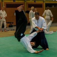 Jubiläums-Lehrgang in Waiblingen mit Junya Nakatsugawa (6. Dan Aikikai Shodoin) – Foto: Stefan Kunick