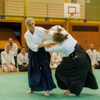 Jubiläums-Lehrgang in Waiblingen mit Junya Nakatsugawa (6. Dan Aikikai Shodoin) – Foto: Stefan Kunick