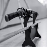 Jubiläums-Lehrgang in Waiblingen mit Junya Nakatsugawa (6. Dan Aikikai Shodoin) – Foto: Artem Talmann