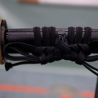 Jubiläums-Lehrgang in Waiblingen mit Junya Nakatsugawa (6. Dan Aikikai Shodoin) – Foto: Artem Talmann