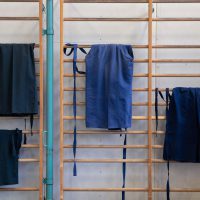 Jubiläums-Lehrgang in Waiblingen mit Junya Nakatsugawa (6. Dan Aikikai Shodoin) – Foto: Artem Talmann