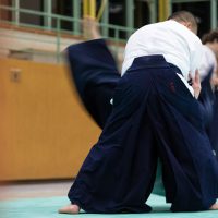 Jubiläums-Lehrgang in Waiblingen mit Junya Nakatsugawa (6. Dan Aikikai Shodoin) – Foto: Artem Talmann