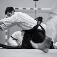 Jubiläums-Lehrgang in Waiblingen mit Junya Nakatsugawa (6. Dan Aikikai Shodoin) – Foto: Artem Talmann
