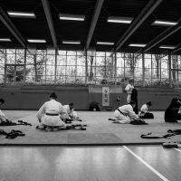 Jubiläums-Lehrgang in Waiblingen mit Junya Nakatsugawa (6. Dan Aikikai Shodoin) – Foto: Artem Talmann