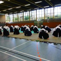 Jubiläums-Lehrgang in Waiblingen mit Junya Nakatsugawa (6. Dan Aikikai Shodoin) – Foto: Nina Kulhavý
