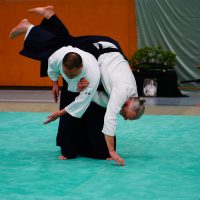 Jubiläums-Lehrgang in Waiblingen mit Junya Nakatsugawa (6. Dan Aikikai Shodoin) – Foto: Nina Kulhavý
