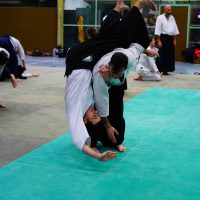 Jubiläums-Lehrgang in Waiblingen mit Junya Nakatsugawa (6. Dan Aikikai Shodoin) – Foto: Nina Kulhavý