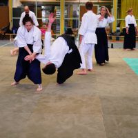 Jubiläums-Lehrgang in Waiblingen mit Junya Nakatsugawa (6. Dan Aikikai Shodoin) – Foto: Nina Kulhavý